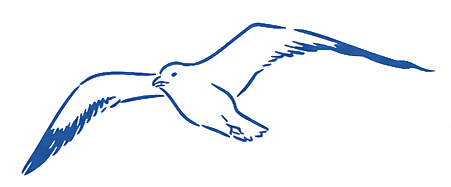 b-1